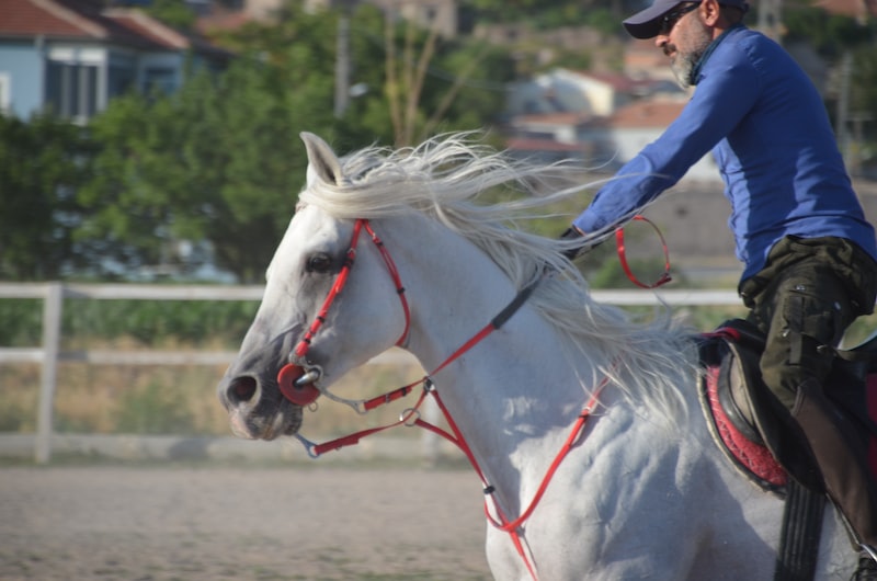 Spor Müsabakası Biletleri: Heyecan Dolu Anlar